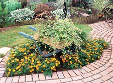 Designing with marigolds