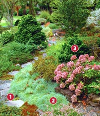 Pleasant Path Create a pleasant path | Garden Gate
