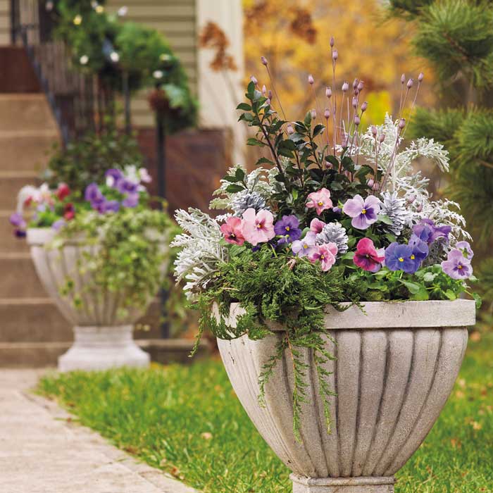 Cool-season container!