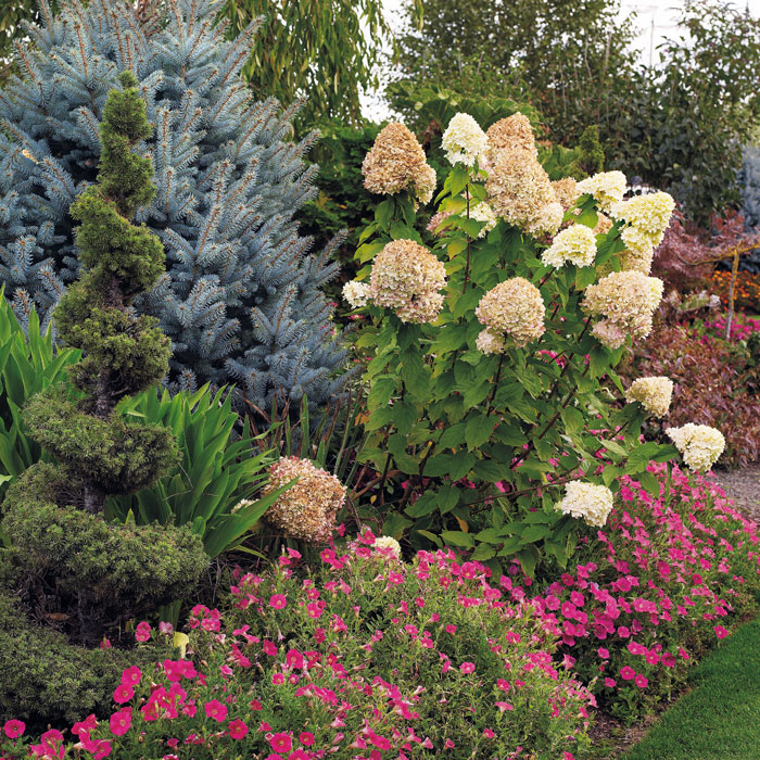 Container inspiration