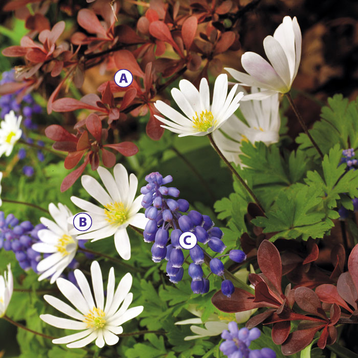 Low maintanence contrast