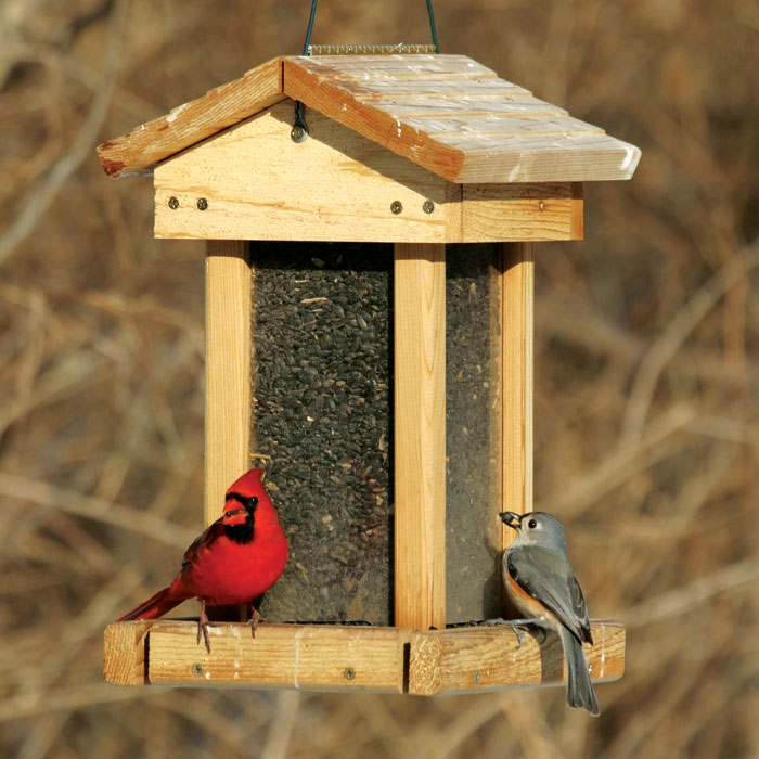 Birdseed troubles?