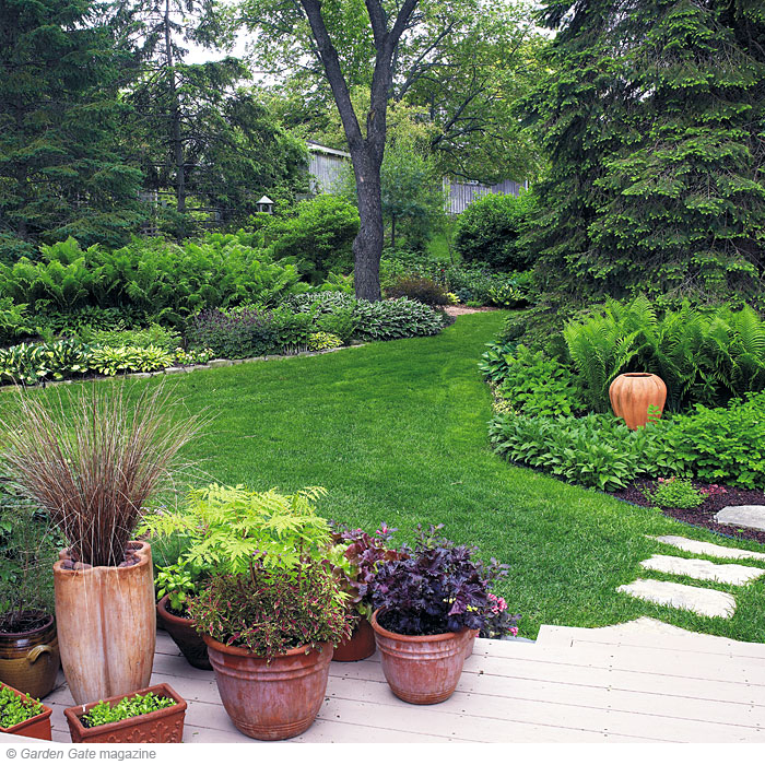 Display and organize