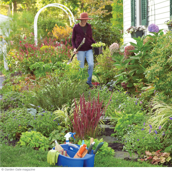 Get outside  and garden!