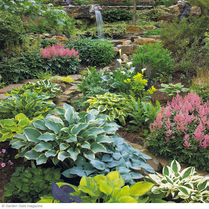The perfect hosta spot!