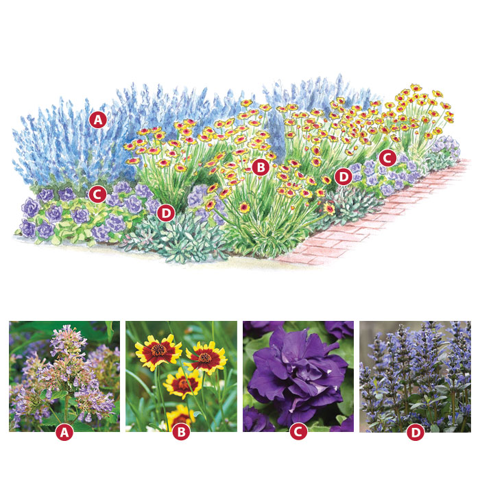 A colorful  garden walk