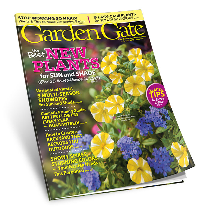 Check out more new favorites!