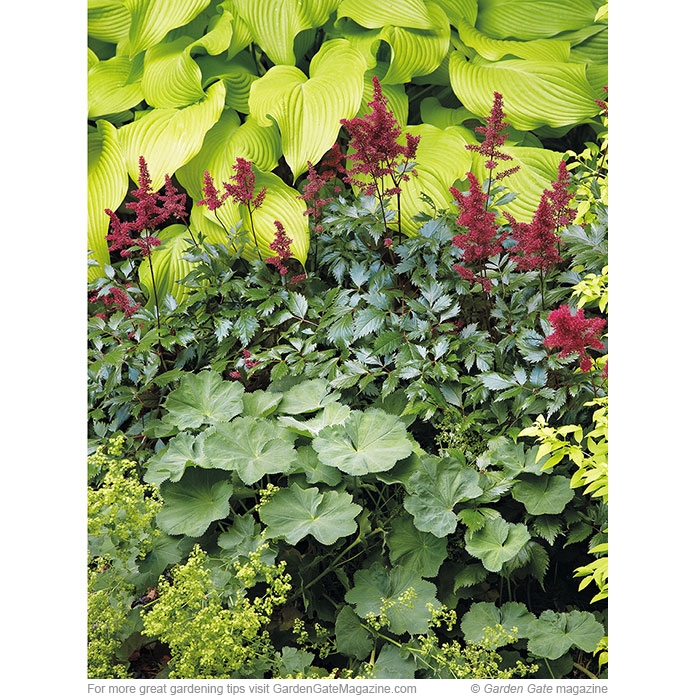 Sizzling in the shade