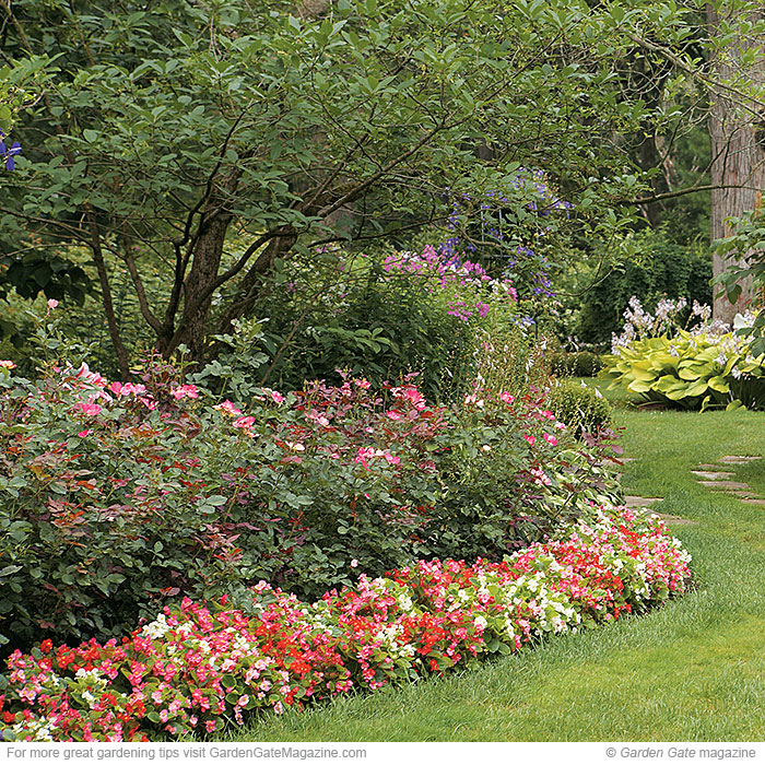 Full and lush borders