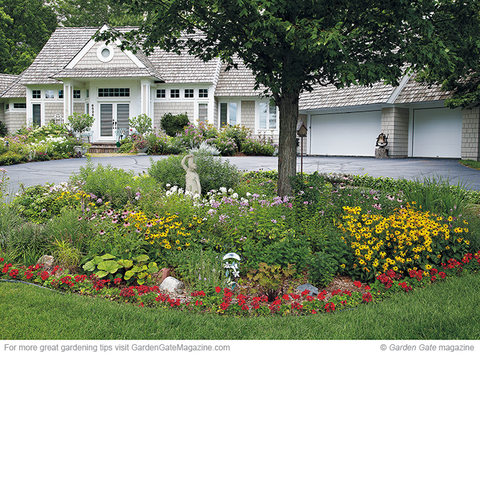 Grow a gorgeous rain garden