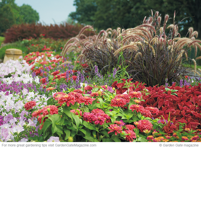 Keep summer colorful