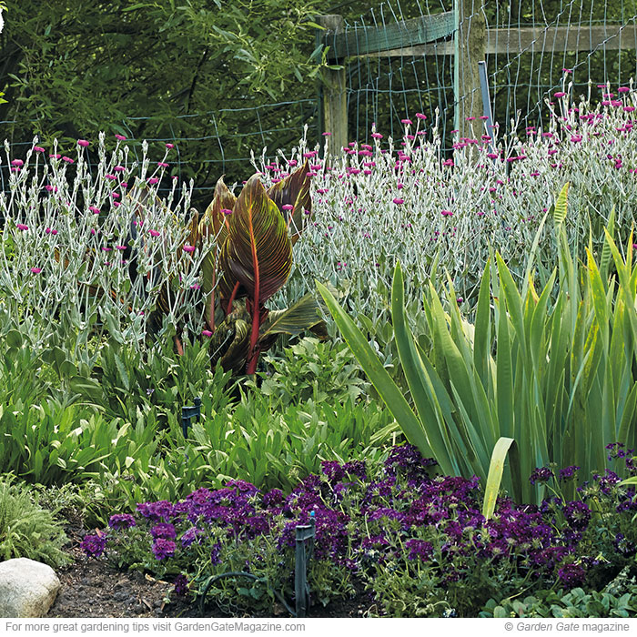 Create beautiful summer combos