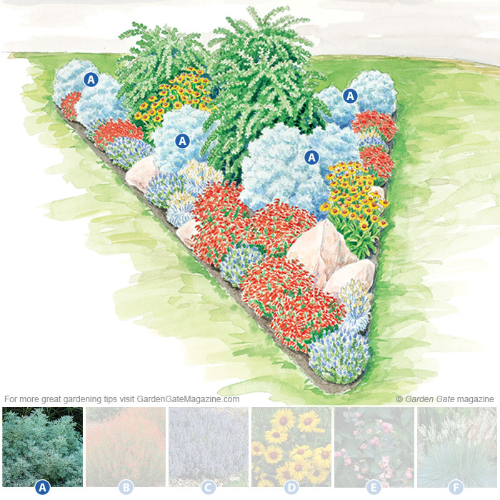 Artemisia
Artemisia ‘Powis Castle’
Type Perennial
Blooms Aromatic silver-gray foliage
Light Full sun
Size 2 to 3 ft. tall and wide
Cold-hardy USDA zones 5 to 9
Heat-tolerant AHS zones 9 to 1