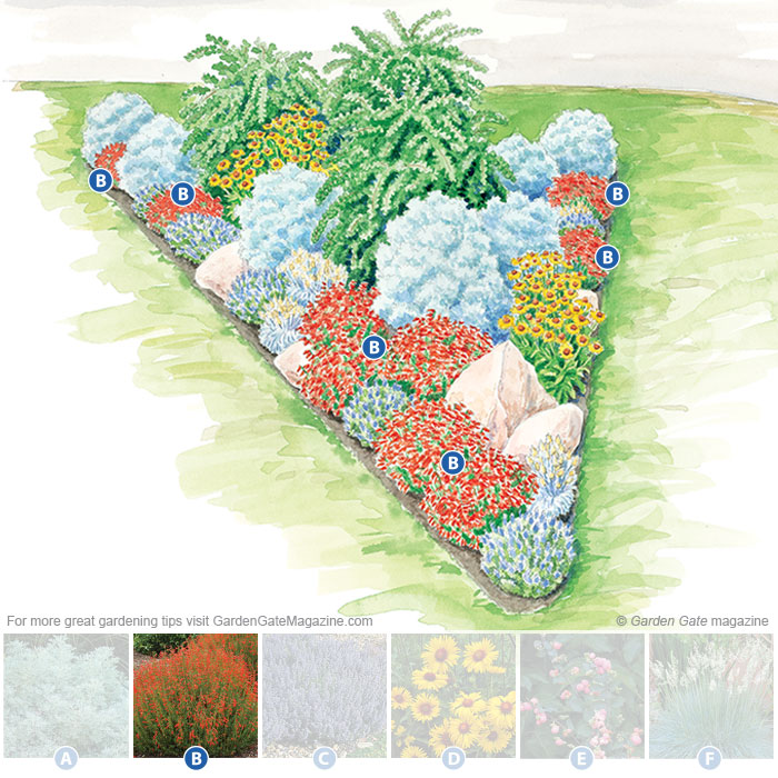 Beardtongue
Penstemon pinifolius Tall Orange Mix
Type Perennial
Blooms  Scarlet-orange flowers in late spring through fall
Light Full sun
Size 14 to 18 in. tall, 18 to 24 in. wide
Cold-hardy USDA zones 5 to 9
Heat-tolerant AHS zones 9 to 1