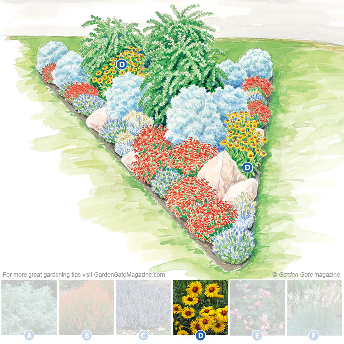 Blanket flower
Gaillardia aristata ‘Amber Wheels’
Type Perennial
Blooms Deep yellow frilled summer flowers with red-amber centers
Light Full sun
Size 24 to 30 in. tall, 18 to 20 in. wide
Cold-hardy USDA zones 4 to 10
Heat-tolerant AHS zones 10 to 1