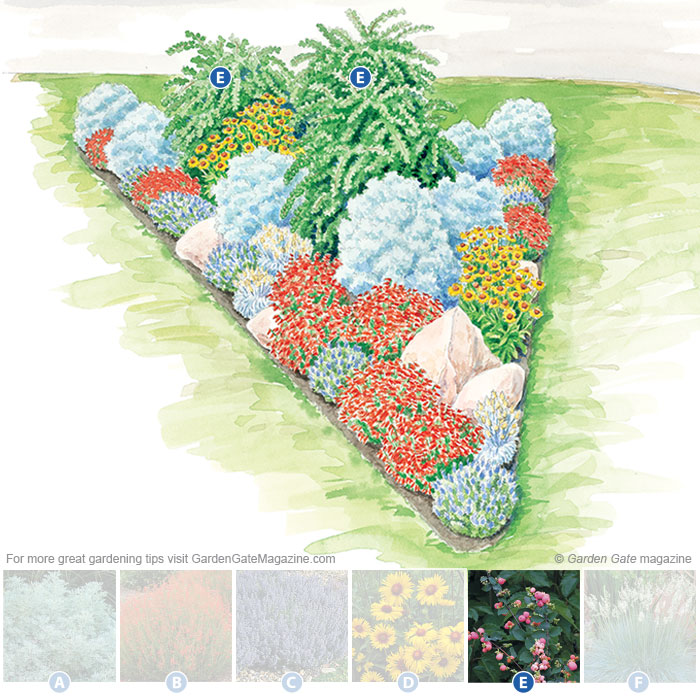Coralberry
Symphoricarpos x doorenbosii  Amethyst™
Type Shrub
Blooms Very small white flowers in late spring to early summer; pink berries in fall
Light Full sun to part shade
Size 3 to 5 ft. tall and wide
Cold-hardy USDA zones 5 to 9
Heat-tolerant AHS zo