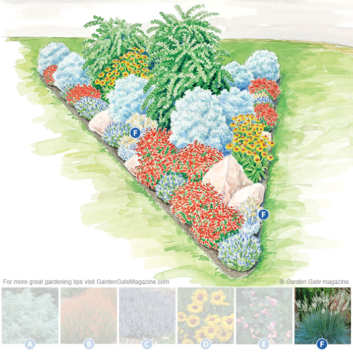 Idaho blue fescue
Festuca idahoensis ‘Siskiyou Blue’
Type Perennial
Blooms Yellow-tan flowers in early summer; blue foliage
Light Full sun to part shade
Size 12 to 18 in. tall, 12 to 15 in. wide
Cold-hardy USDA zones 4 to 8
Heat-tolerant AHS zones 8 to 1