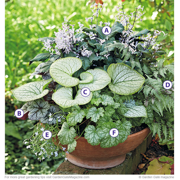 Container recipe