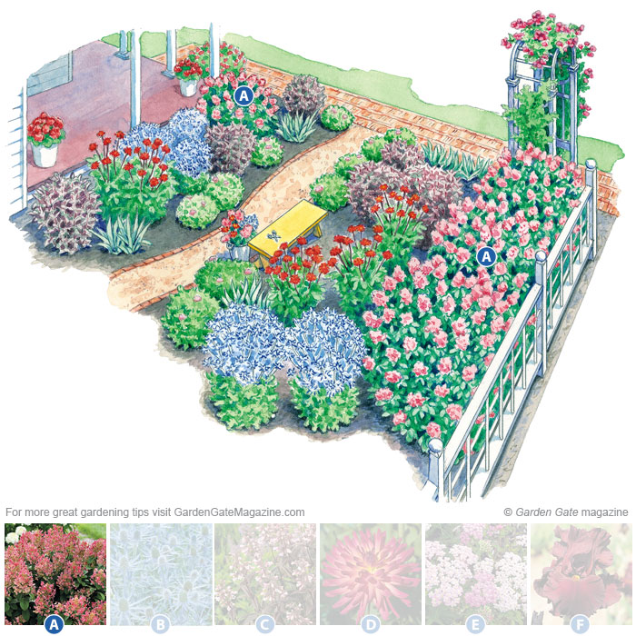 Panicle hydrangea
Hydrangea paniculata Little Quick Fire® ‘SMLQFHP’
Type Shrub
Blooms  White flowers in summer that mature to pink in fall; trim off dead flowers in late winter to early spring
Light Full sun to part shade
Size 3 to 5 ft. tall and wide
Col