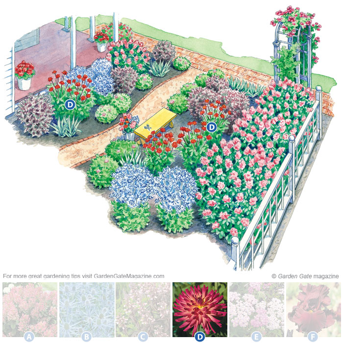 Dahlia
Dahlia ‘Macalisters Pride’
Type Tender tuber
Blooms  5-in.-wide flowers have a yellow base with raspberry petals; in areas where the ground freezes in winter, dig up tubers after foliage is killed by frost and store inside
Light Full sun
Size 36 to