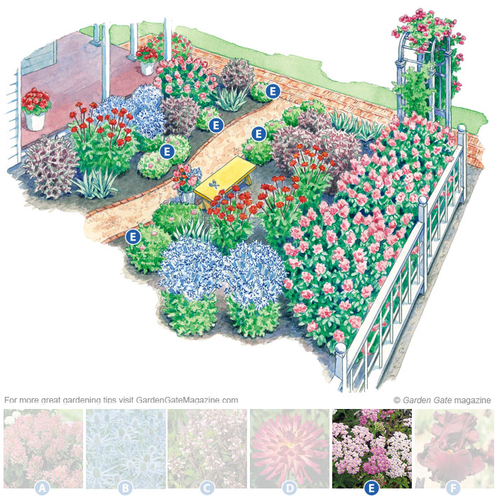 Yarrow
Achillea ‘Pretty Belinda’
Type Perennial
Blooms  Deep pink flowers in early summer turn lighter pink as they age; cut spent flowers at the base to encourage a light rebloom
Light Full sun
Size 20 to 24 in. tall, 18 to 24 in. wide
Cold-hardy USDA zo