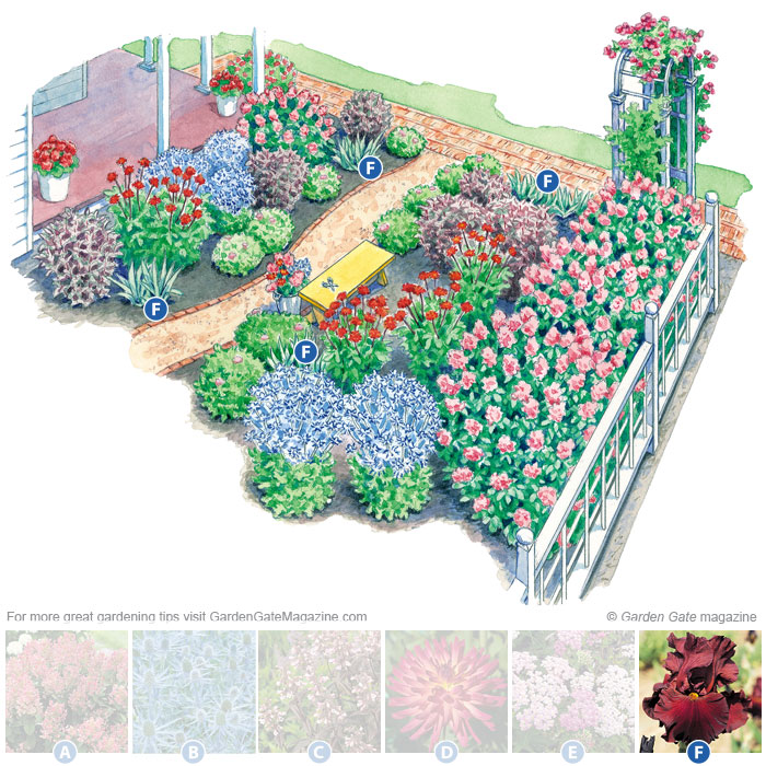 Bearded iris
Iris ‘Dynamite’
Type Perennial
Blooms  Dark red flowers in midspring; cut flower stalks to the base of the plant after blooming
Light Full sun
Size 30 to 36 in. tall, 18 to 24 in. wide
Cold-hardy USDA zones 3 to 9
Heat-tolerant AHS zones 9 to