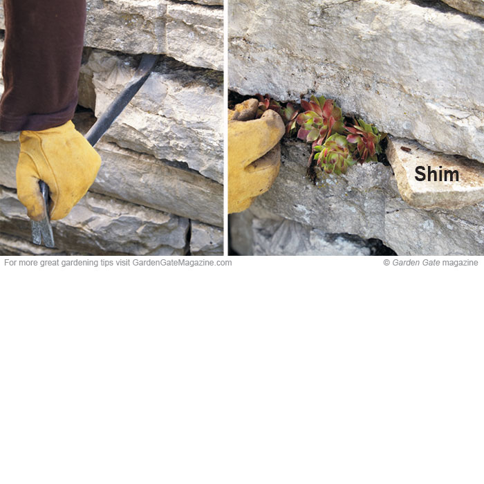 Make a planting space