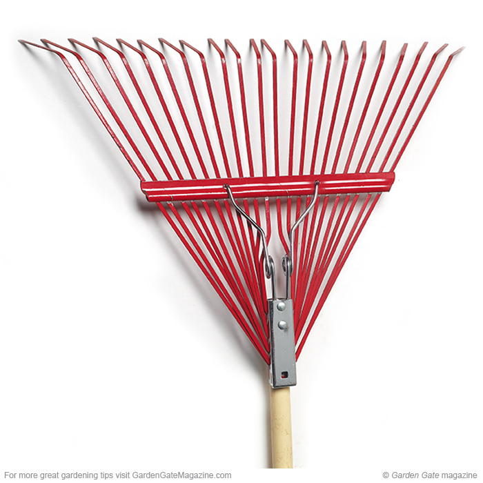 Must-have spring rake