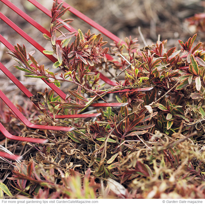 Fluff up ground covers