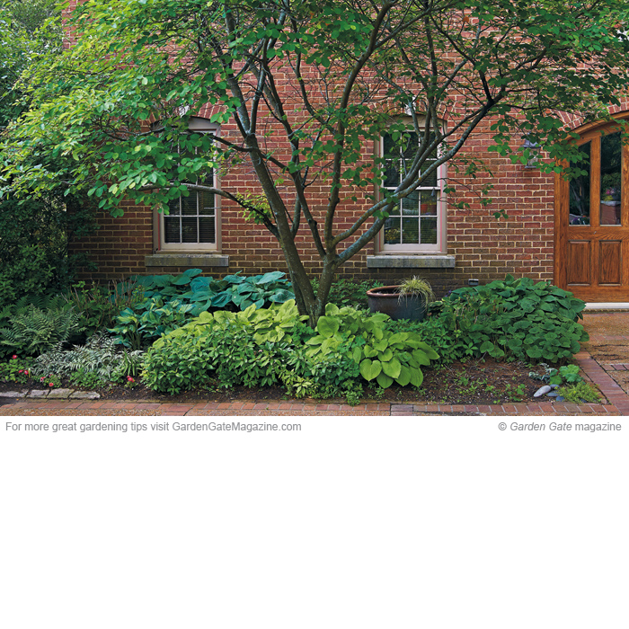 Shade garden makeover