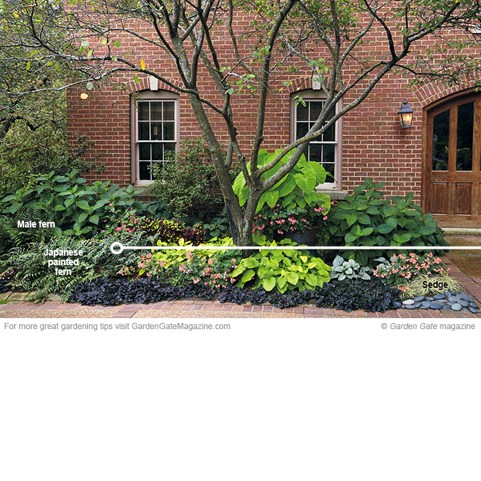 Shade garden texture