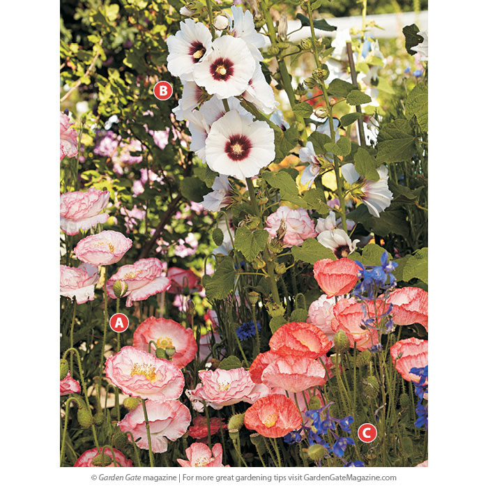 Meet the plants