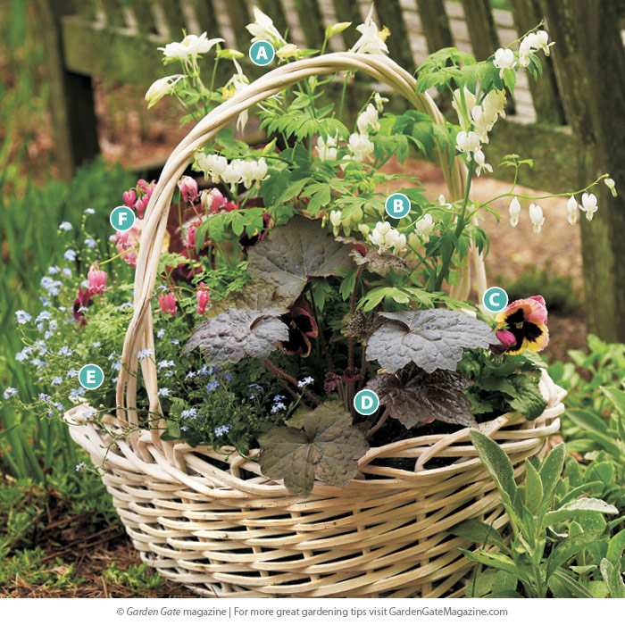 Meet the plants