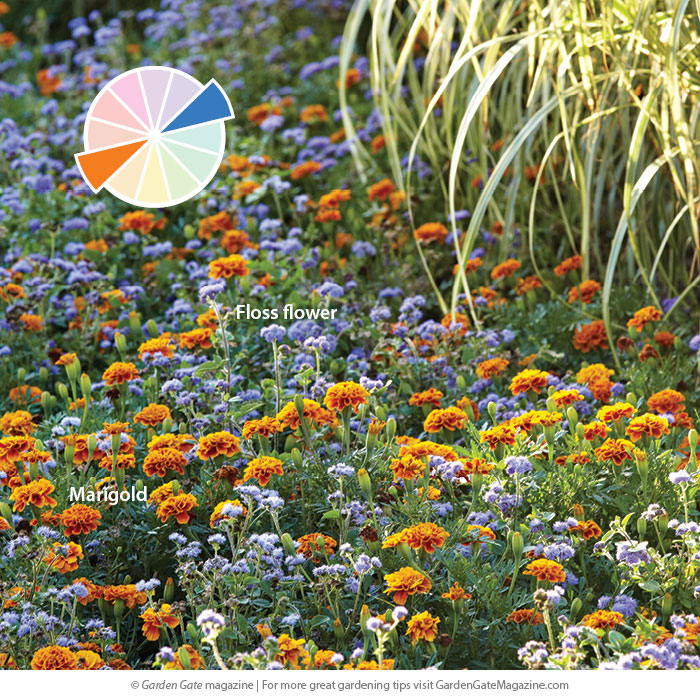 Complementarycolor scheme