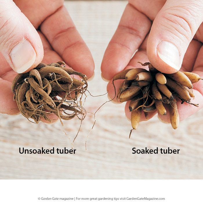 The benefits of soaking