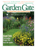 Issue 1