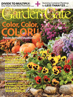 Issue 102