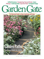 Issue 11