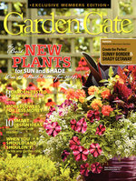 Issue 115