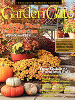 Issue 119