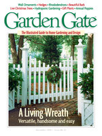 Issue 12