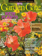 Issue 121