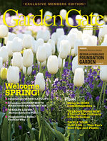 Issue 122