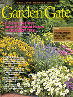 Issue 123
