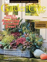 Issue 125