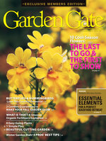 Issue 126
