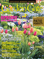 Issue 127