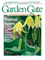 Issue 13