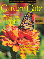 Issue 131
