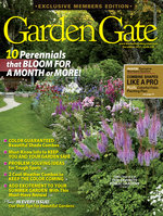 Issue 138